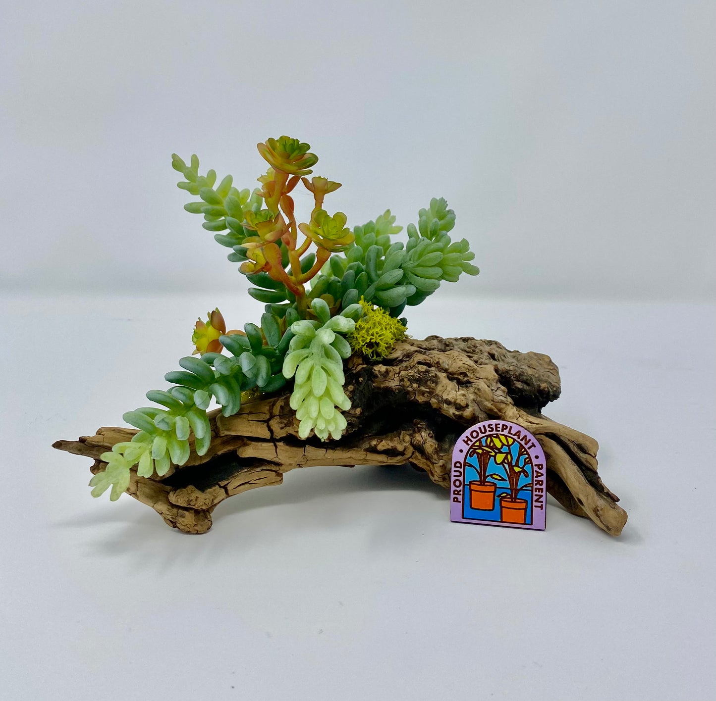 Proud Houseplant Parent Pin