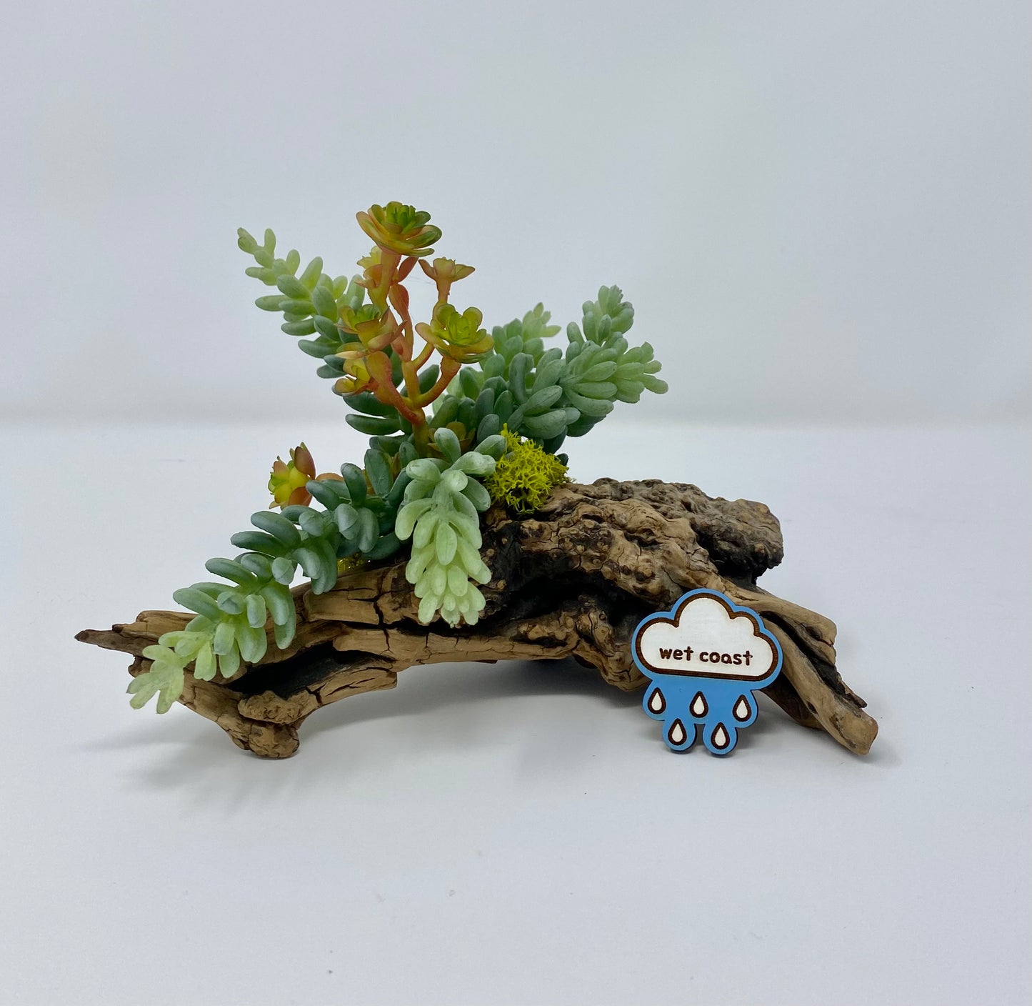 Wet Coast Pin