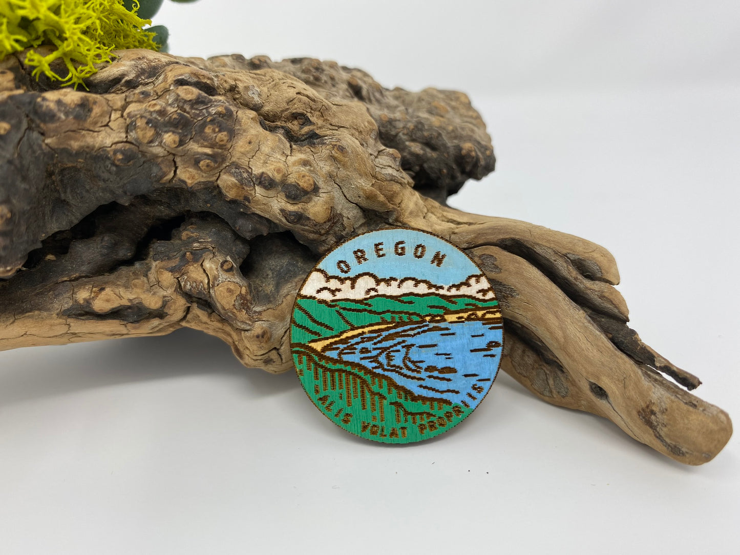 Oregon Pin